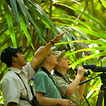 Exotic Bird Watcing Package